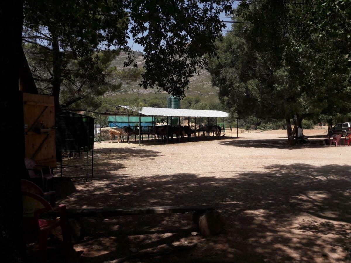 Sierra De Cazorla Villa Arroyo Frio Buitenkant foto
